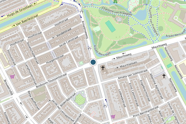 Politie-melding op Bosboom-Toussaintstraat, Dordrecht op 10 juni, kaart-overzicht
