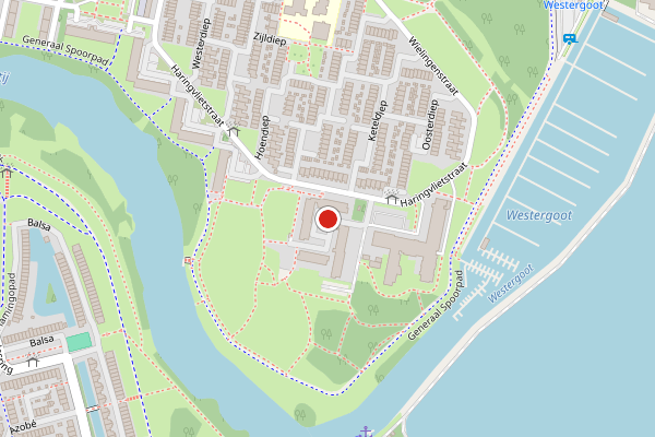 Brandweer-melding op Haringvlietstraat, Dordrecht op 26 juni, kaart-overzicht